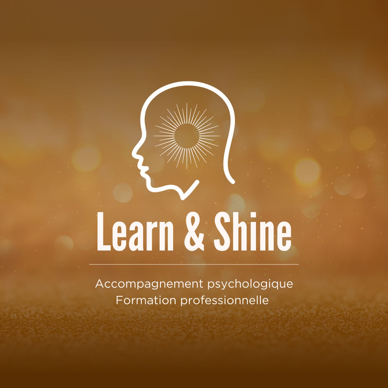 learn-shine-6